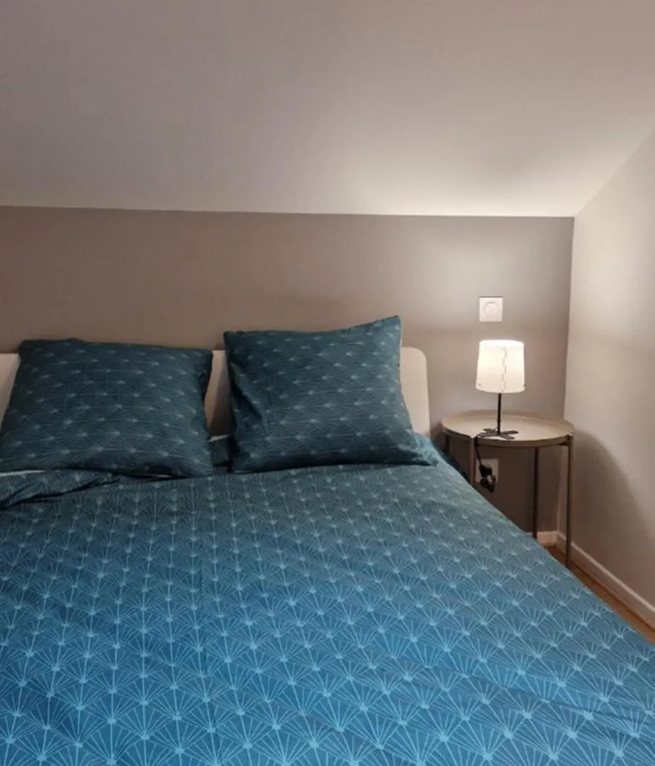 Au Pied De La Basilique Apartment Bourg-en-Bresse France